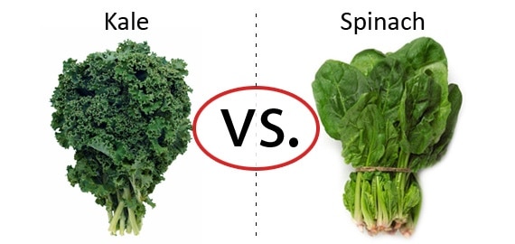 The Differences Between Kale and Spinach Nutrition